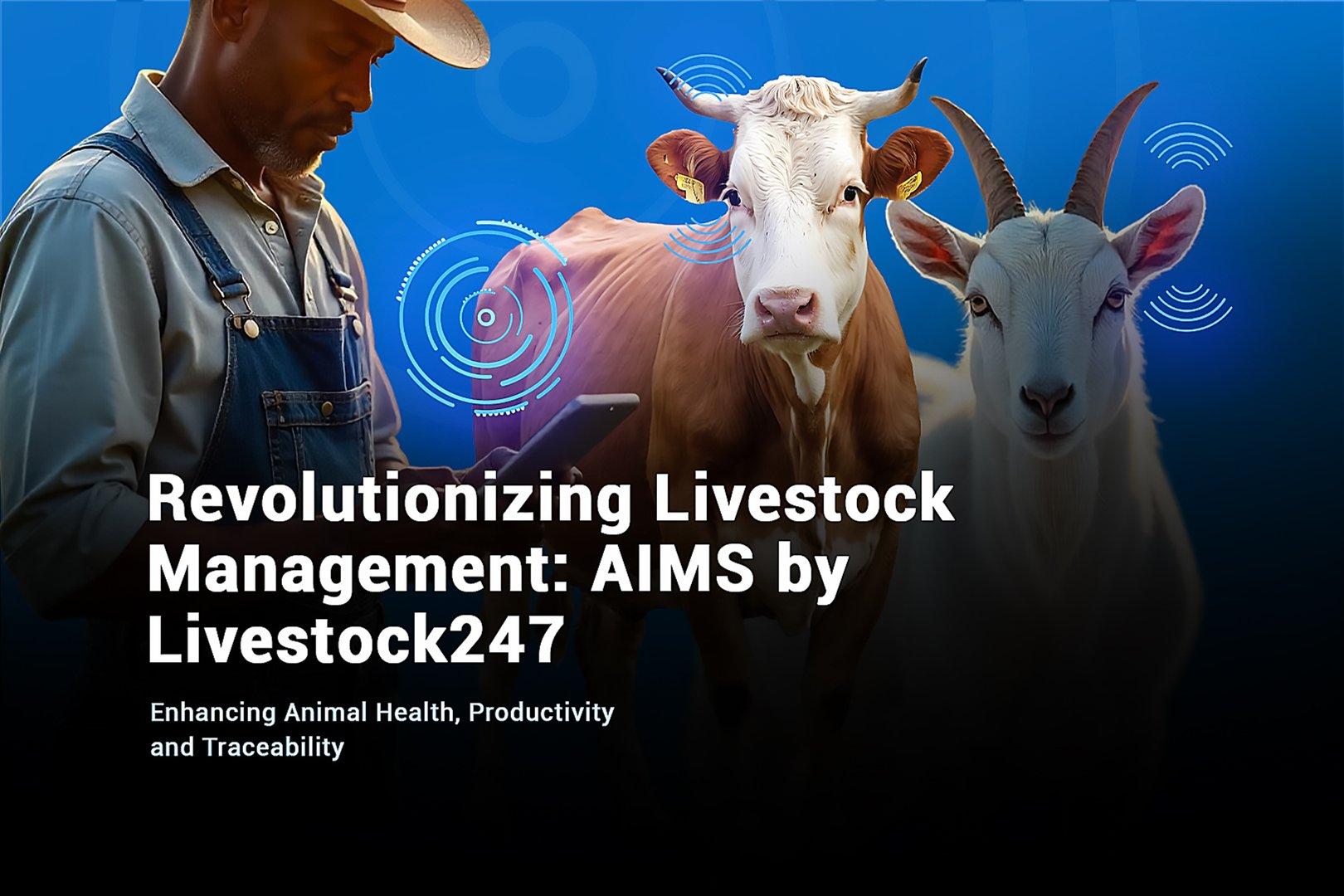 Animal Identification and Management Solutions (AIMS) by Livestock247: Enhancing Livestock Health and Productivity - Cover Image